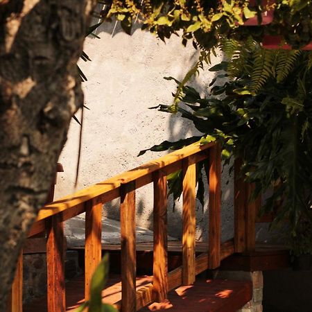 Vila Casa Rustica Atlixco Exteriér fotografie